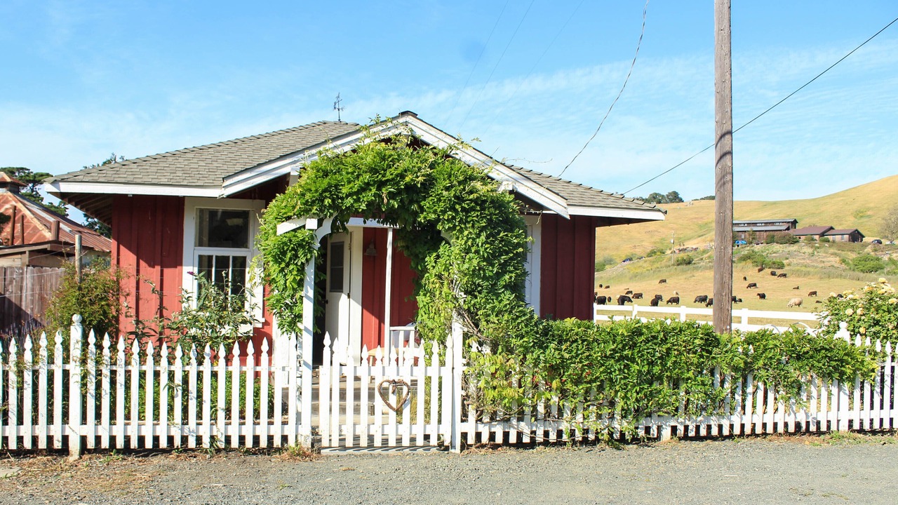 Photo of Outdoor in Harmony