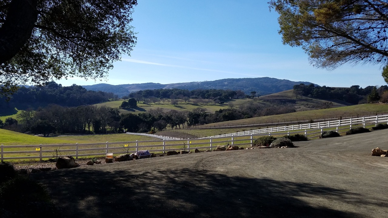 Photo of Others in Paso Robles