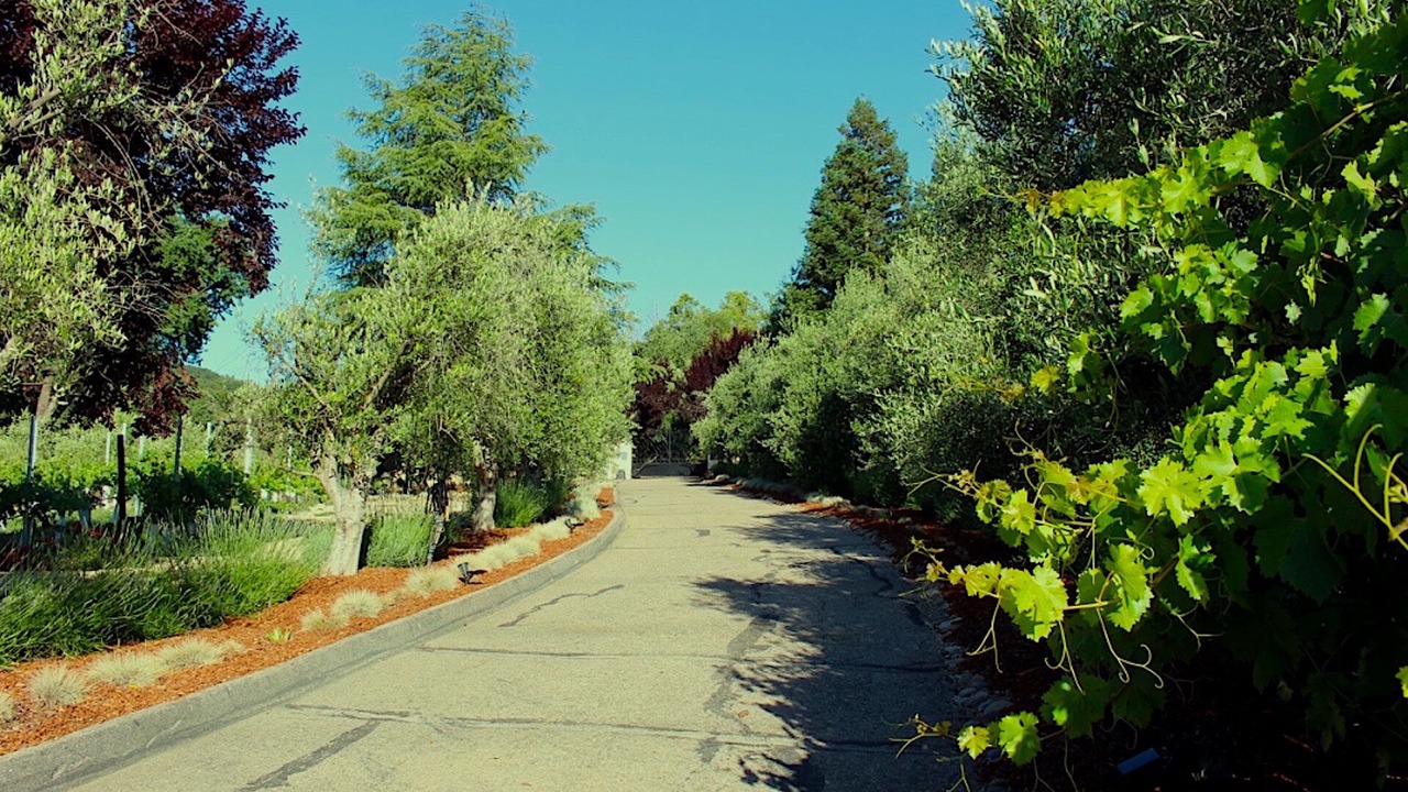Photo of Others in Atascadero