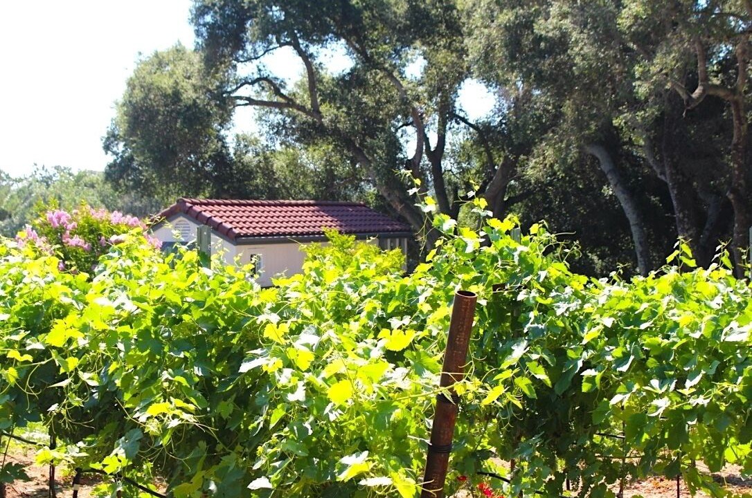 Photo of Others in Atascadero