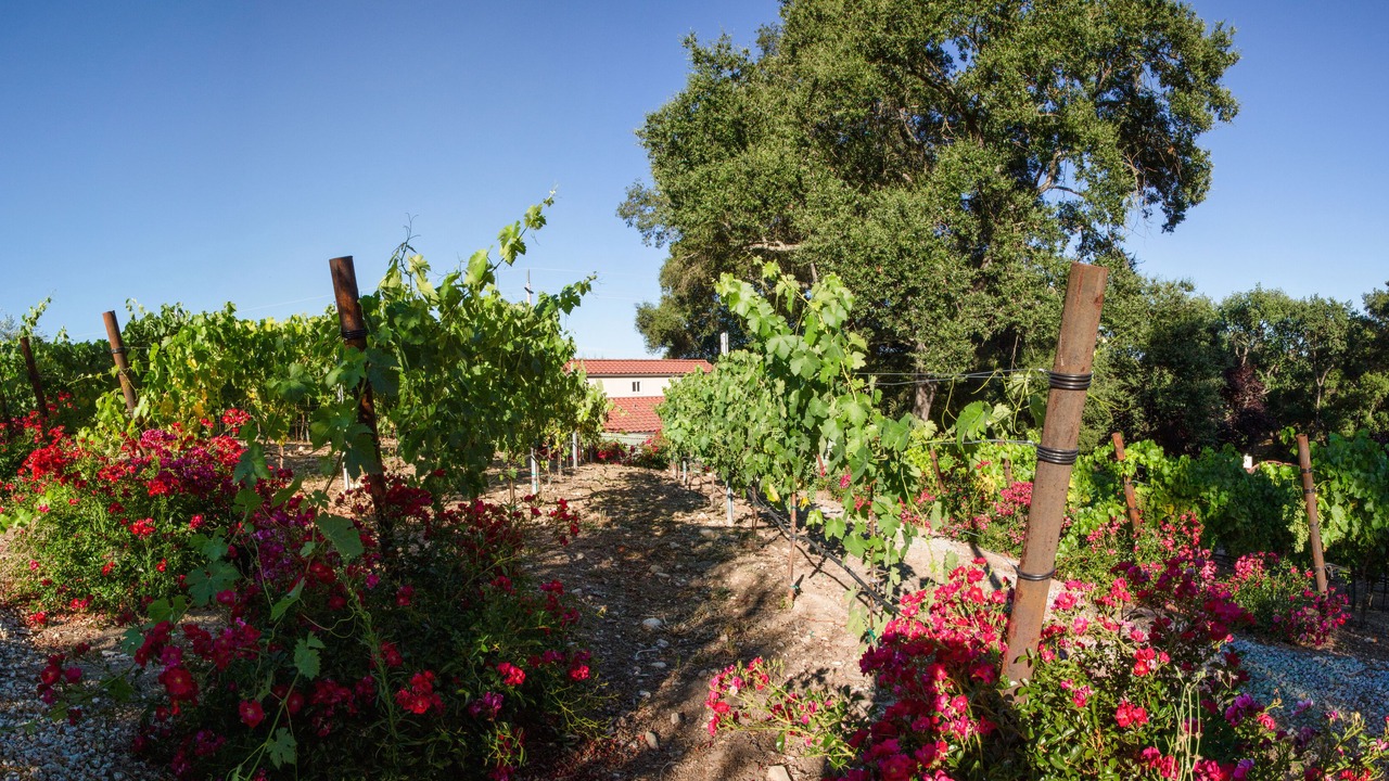 Photo of Others in Atascadero