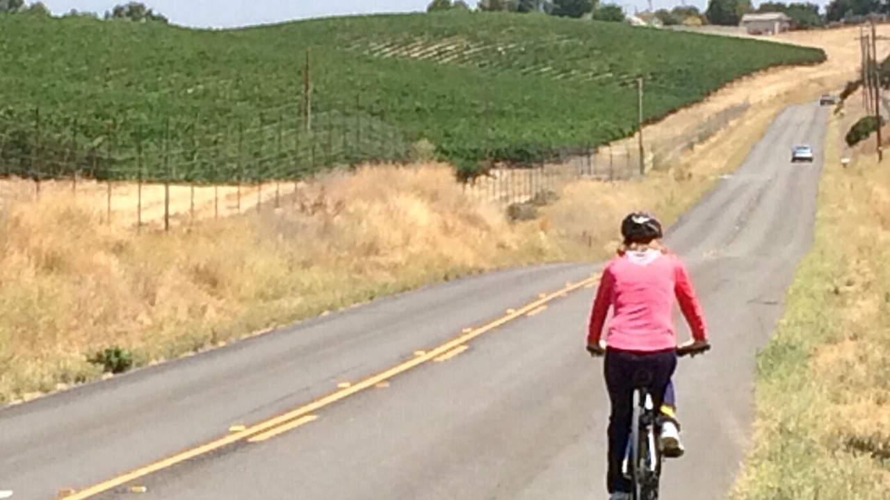 Photo of Others in Paso Robles