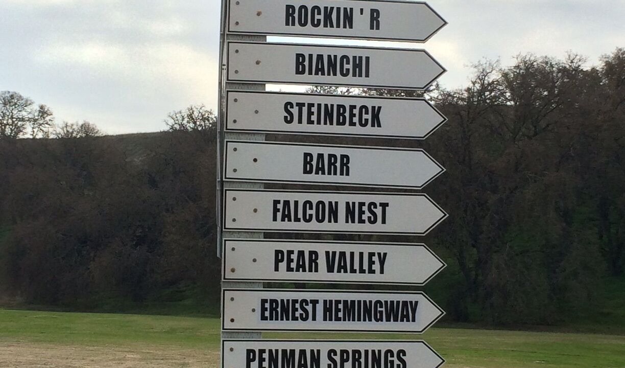 Photo of Others in Paso Robles