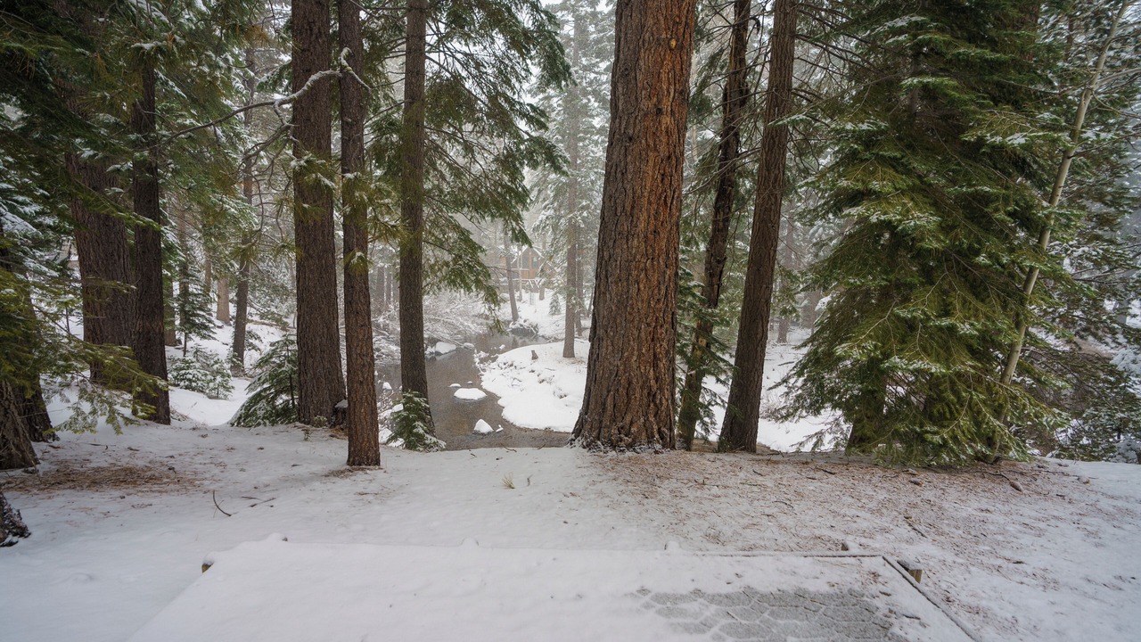 Photo of Outdoor in Christmas Valley