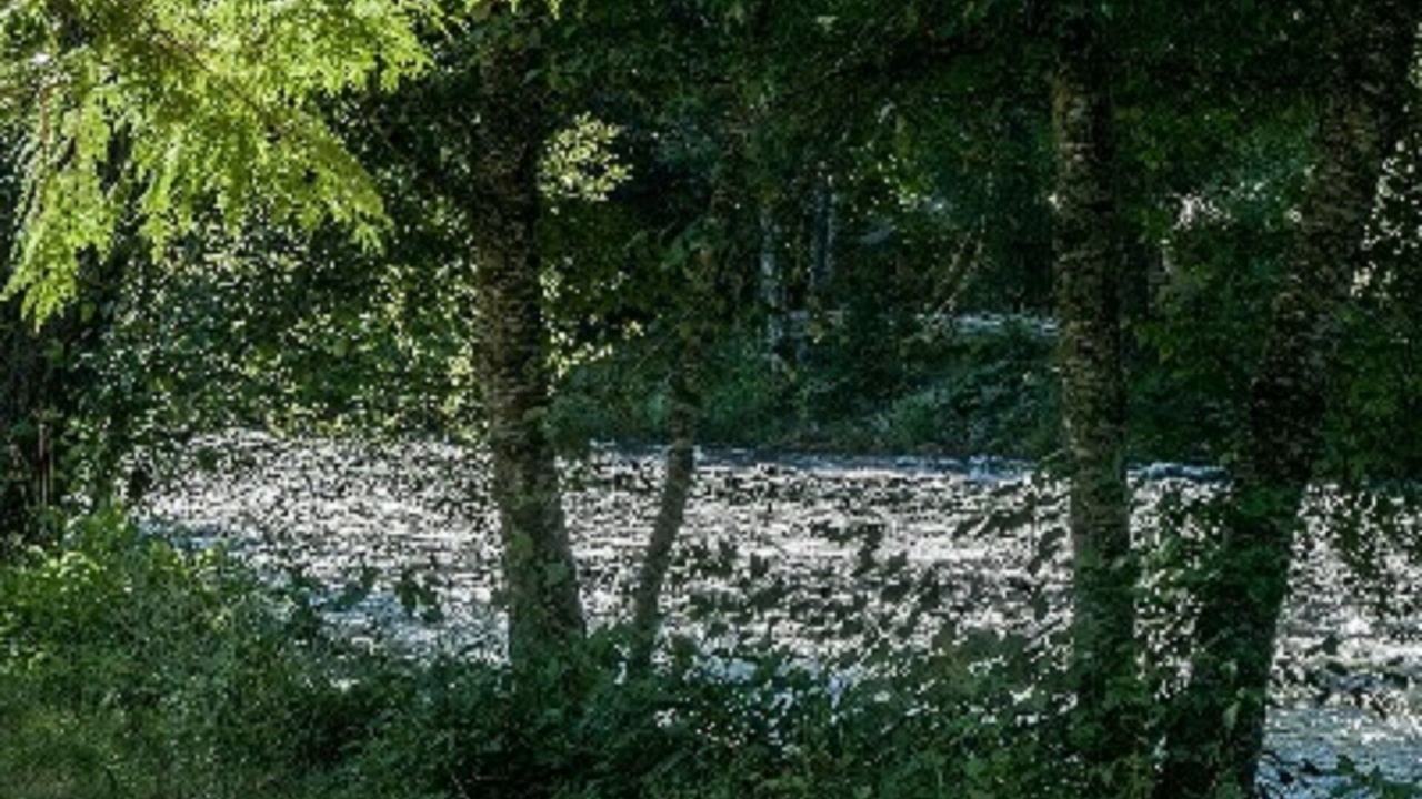 Photo of Others in McKenzie Bridge