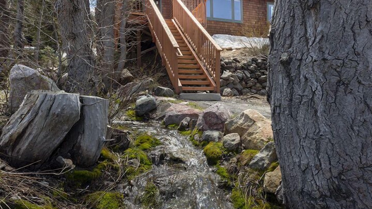 Photo of Outdoor in Alpine Meadows