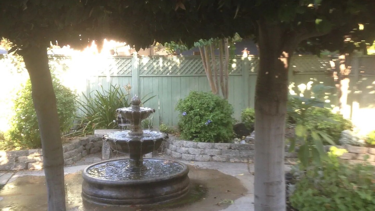Photo of Outdoor in Davis