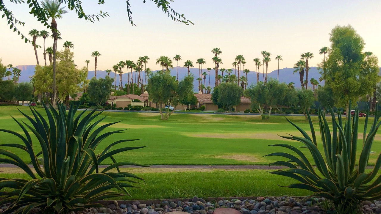 Photo of Others in Palm Desert