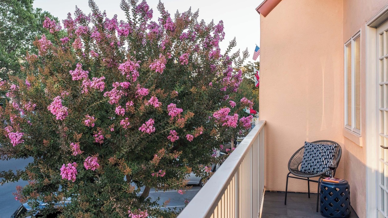 Photo of Outdoor in Sonoma