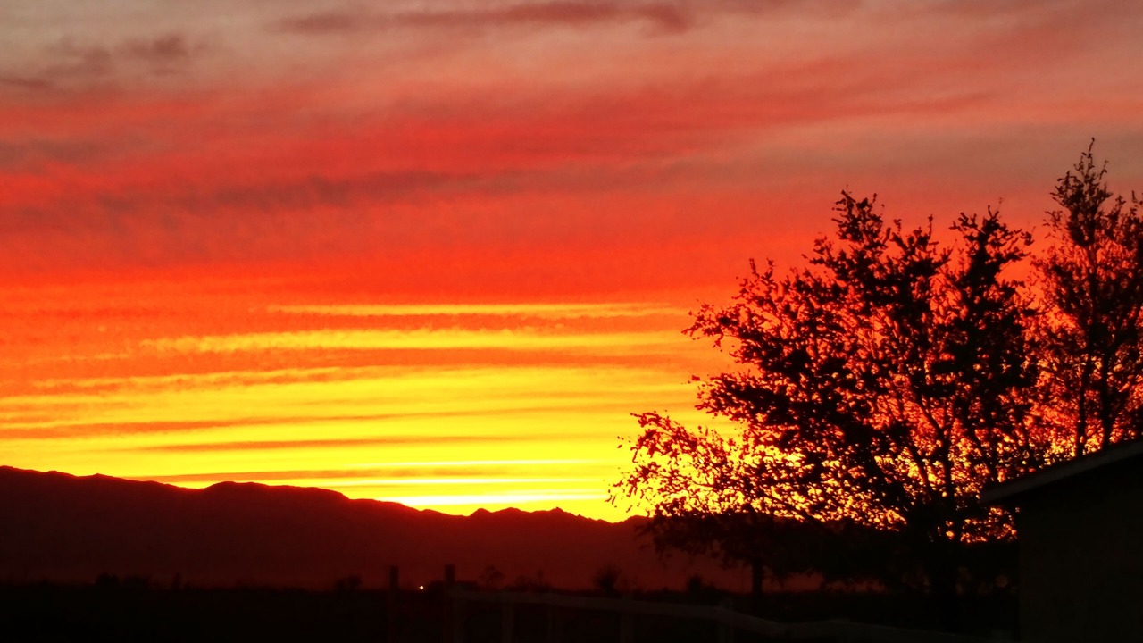 Photo of Outdoor in Dolan Springs