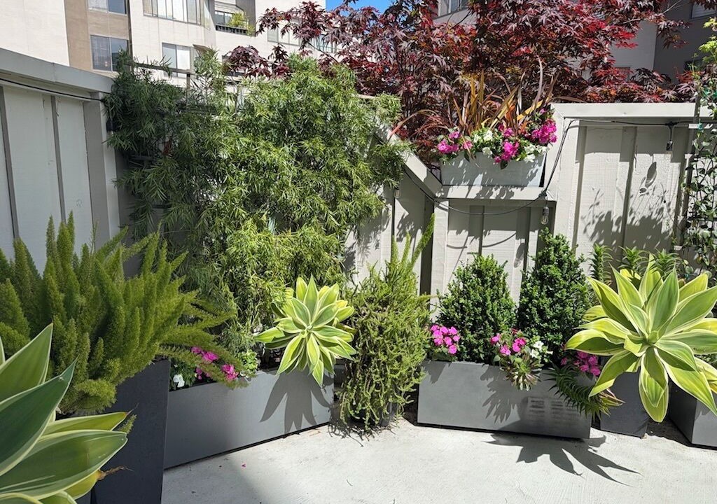 Photo of Outdoor in North Beach