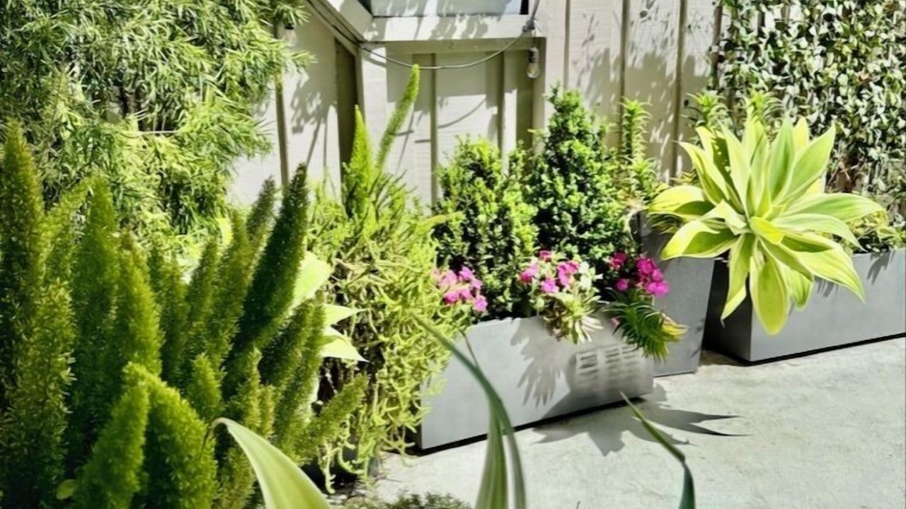 Photo of Outdoor in North Beach
