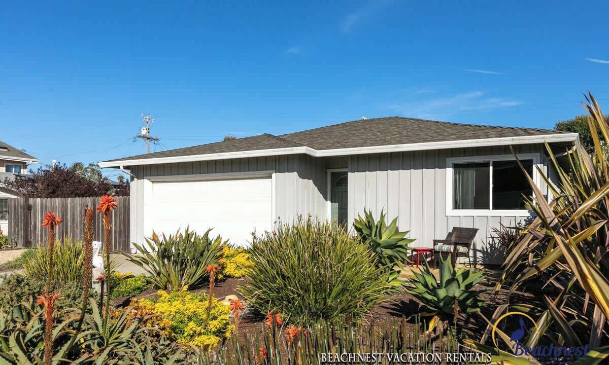Photo of Outdoor in Westside Santa Cruz