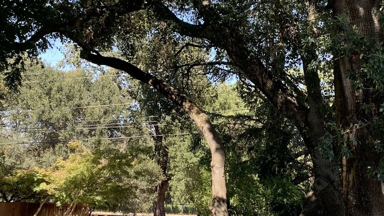 Photo of Outdoor in Napa