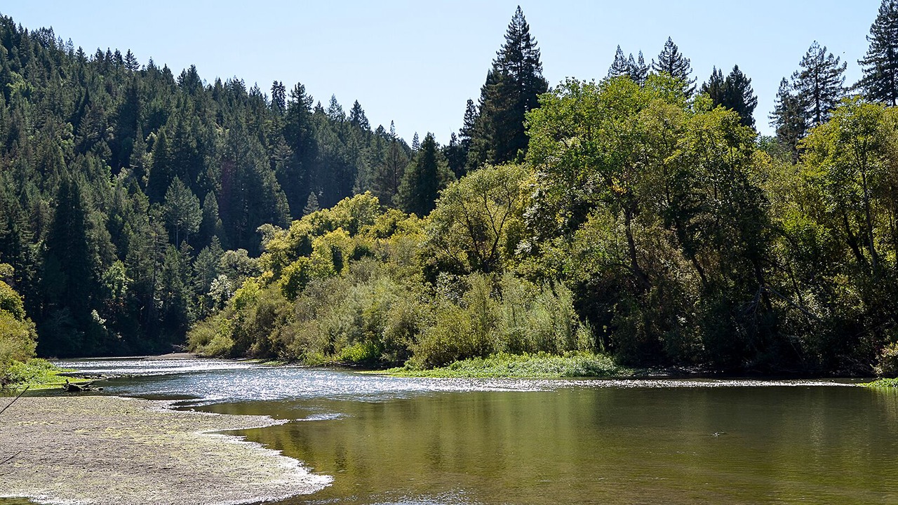 Photo of Others in Guerneville