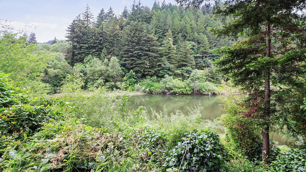 Photo of Others in Guerneville