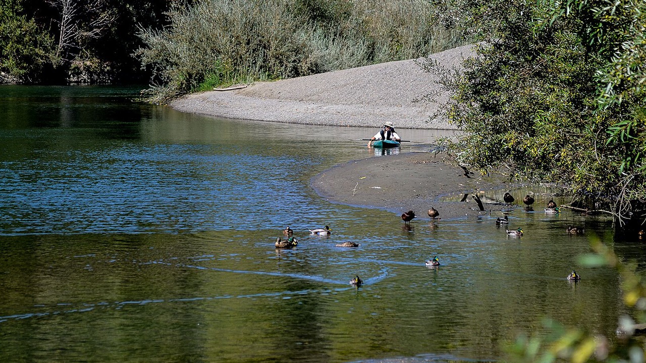 Photo of Others in Guerneville