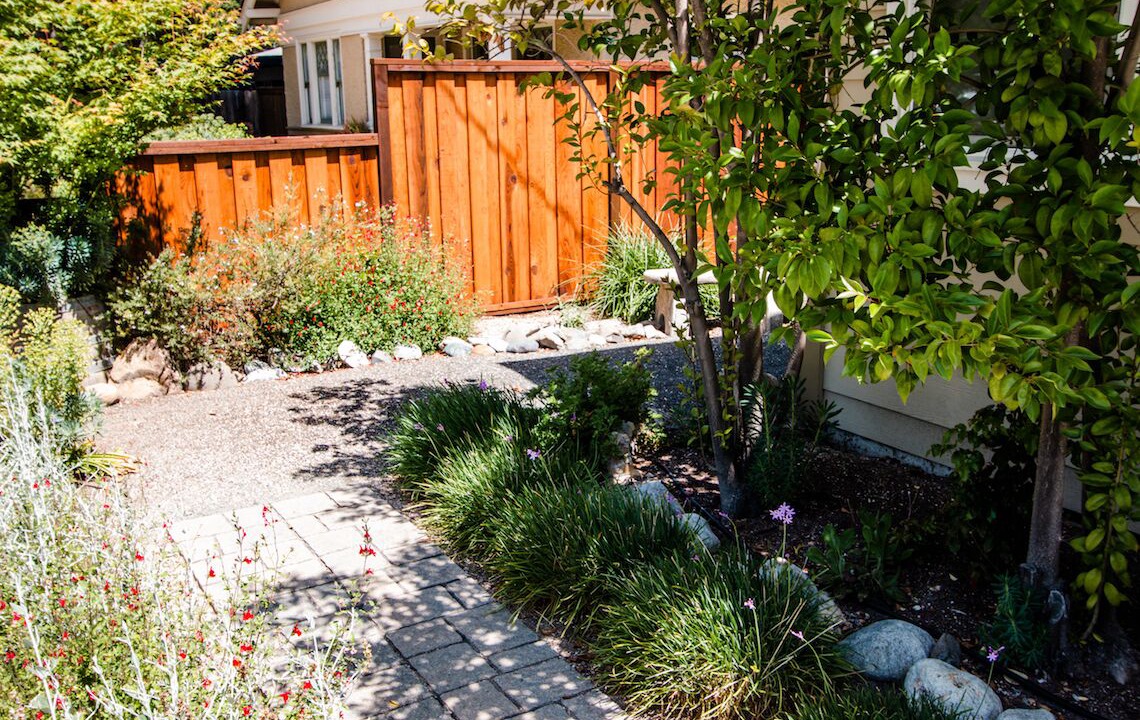 Photo of Outdoor in Paso Robles