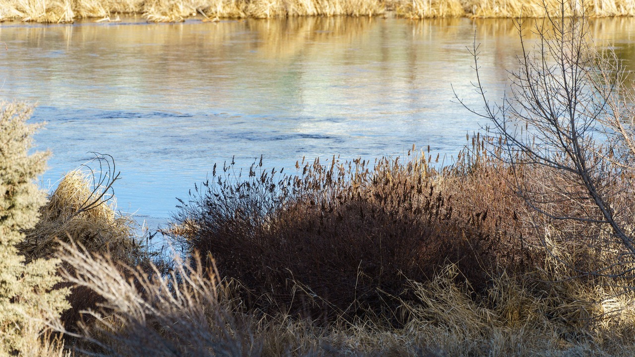 Photo of Others in Awbrey Butte