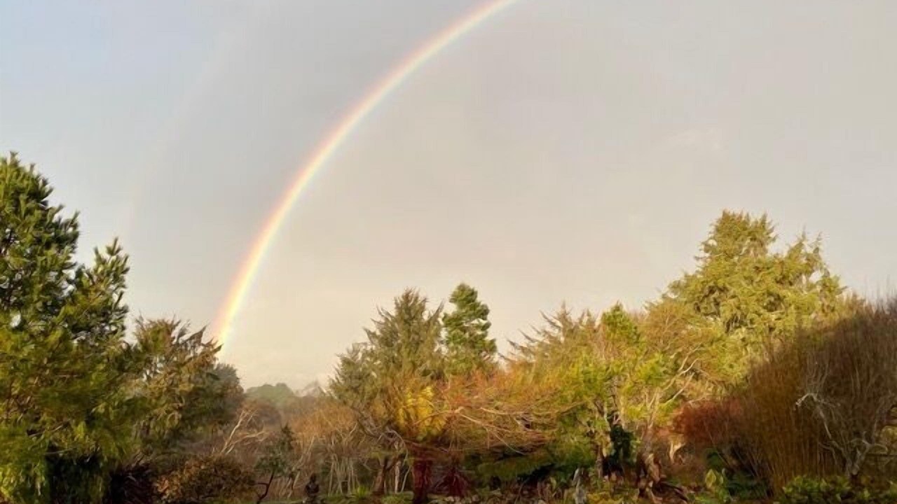 Photo of Outdoor in McKinleyville