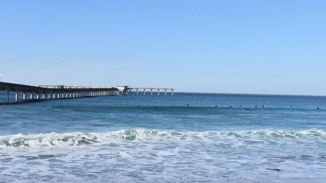 Photo of Others in Point Loma Heights