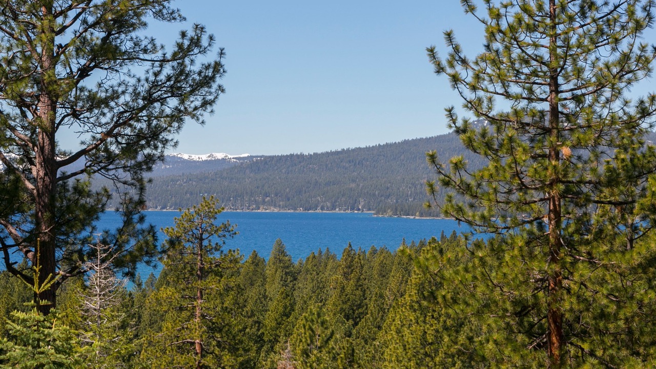 Photo of Outdoor in Kings Beach