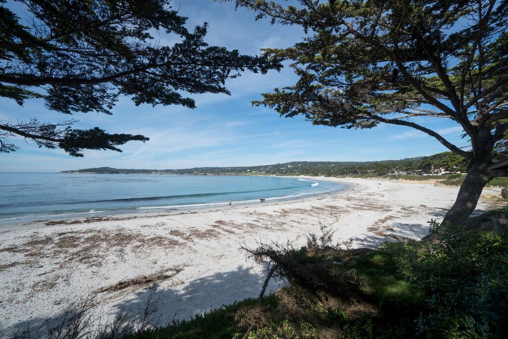 Photo of Others in Northwest Carmel