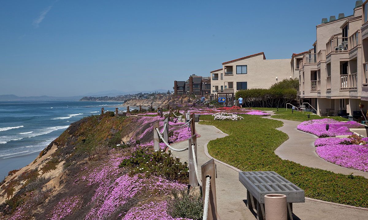 Photo of Others in Solana Beach