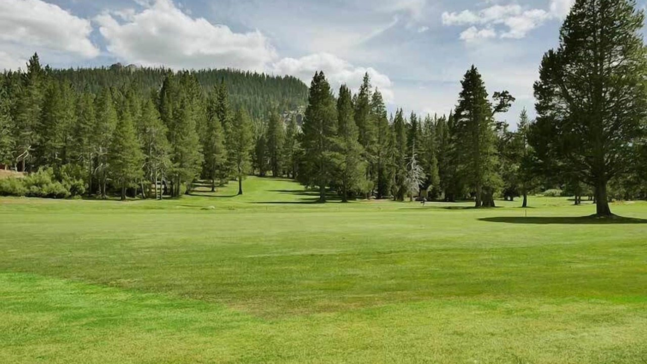 Photo of Others in Tahoe Paradise