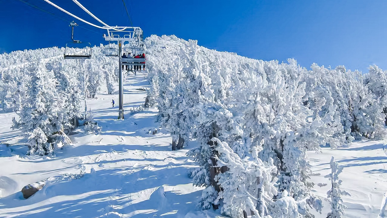 Photo of Others in Mammoth Lakes