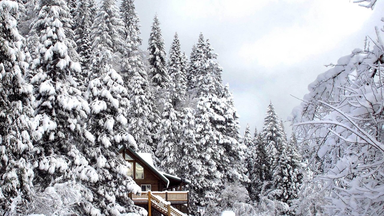 Photo of Outdoor in McCloud