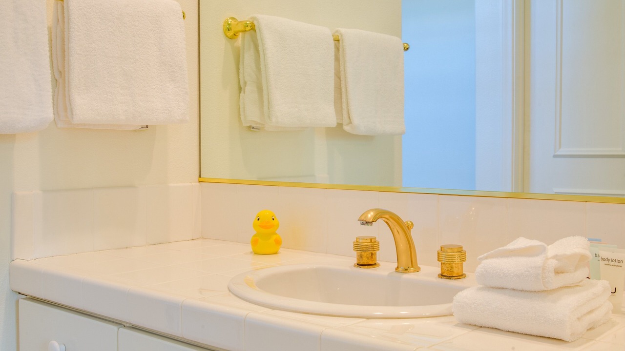 Photo of Bathroom in The Movie Colony