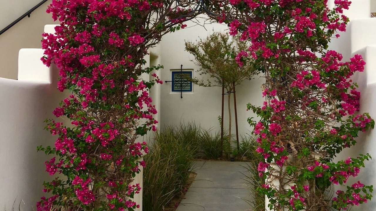 Photo of Outdoor in La Quinta