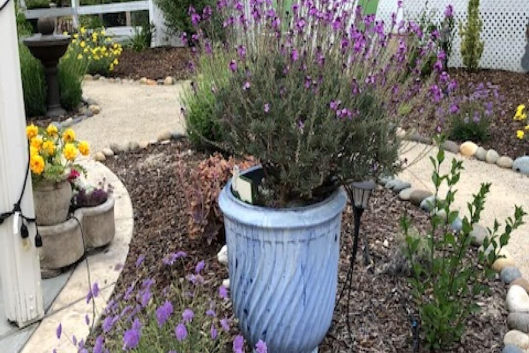 Photo of Outdoor in Paso Robles