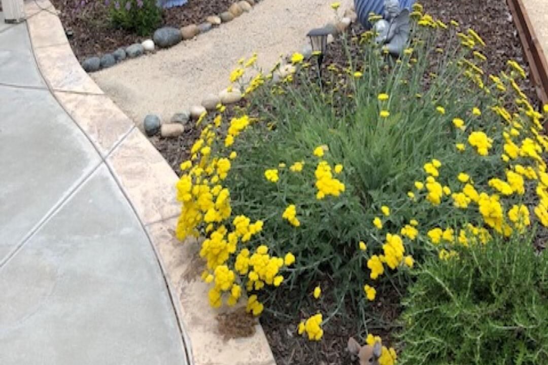 Photo of Outdoor in Paso Robles