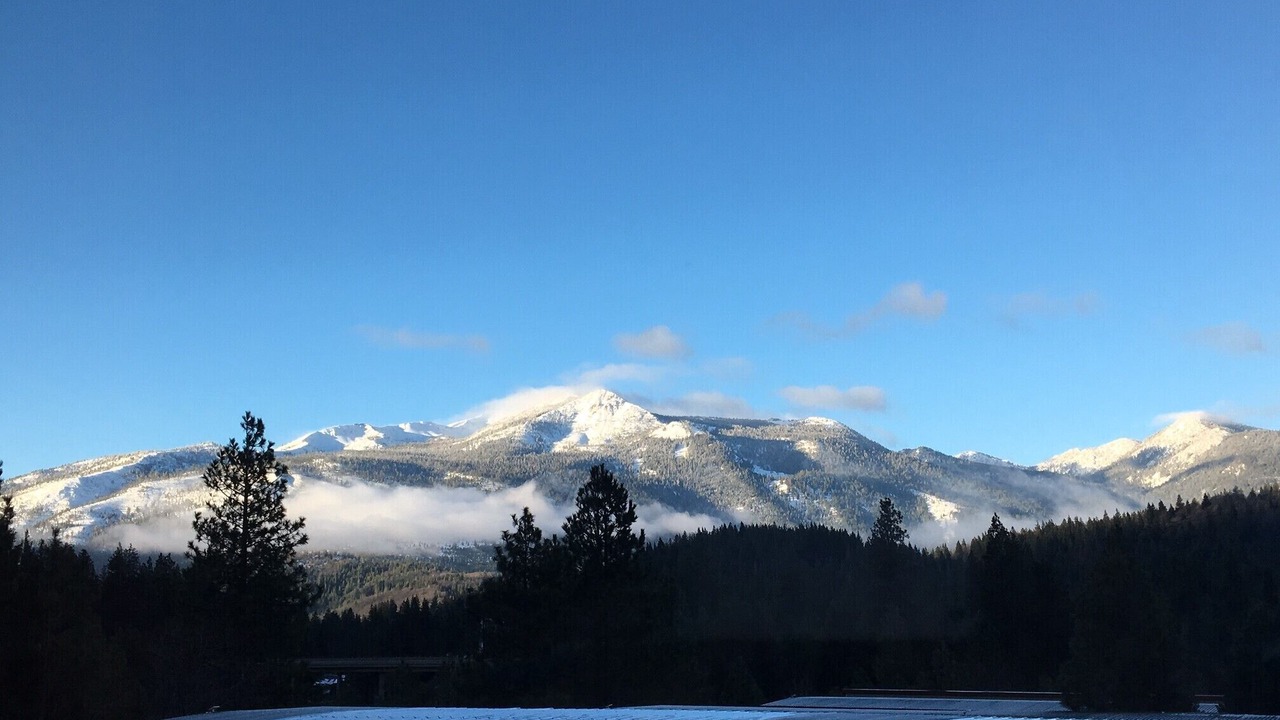 Photo of Others in Mount Shasta