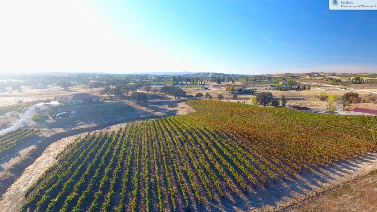 Photo of Others in Paso Robles