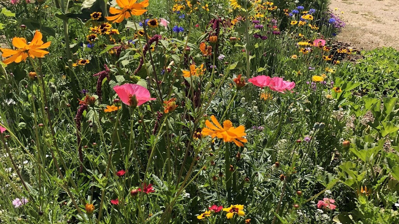 Photo of Outdoor in Paso Robles