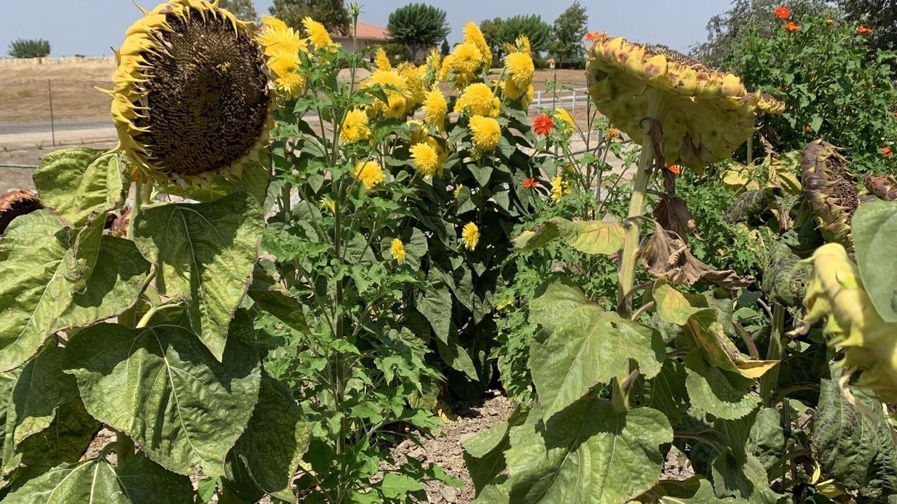 Photo of Outdoor in Paso Robles