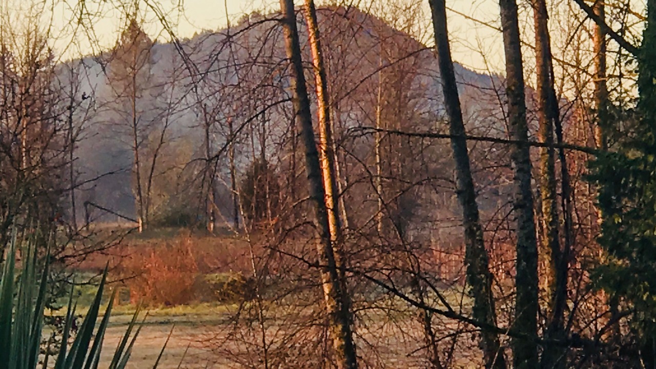 Photo of Outdoor in Harlow