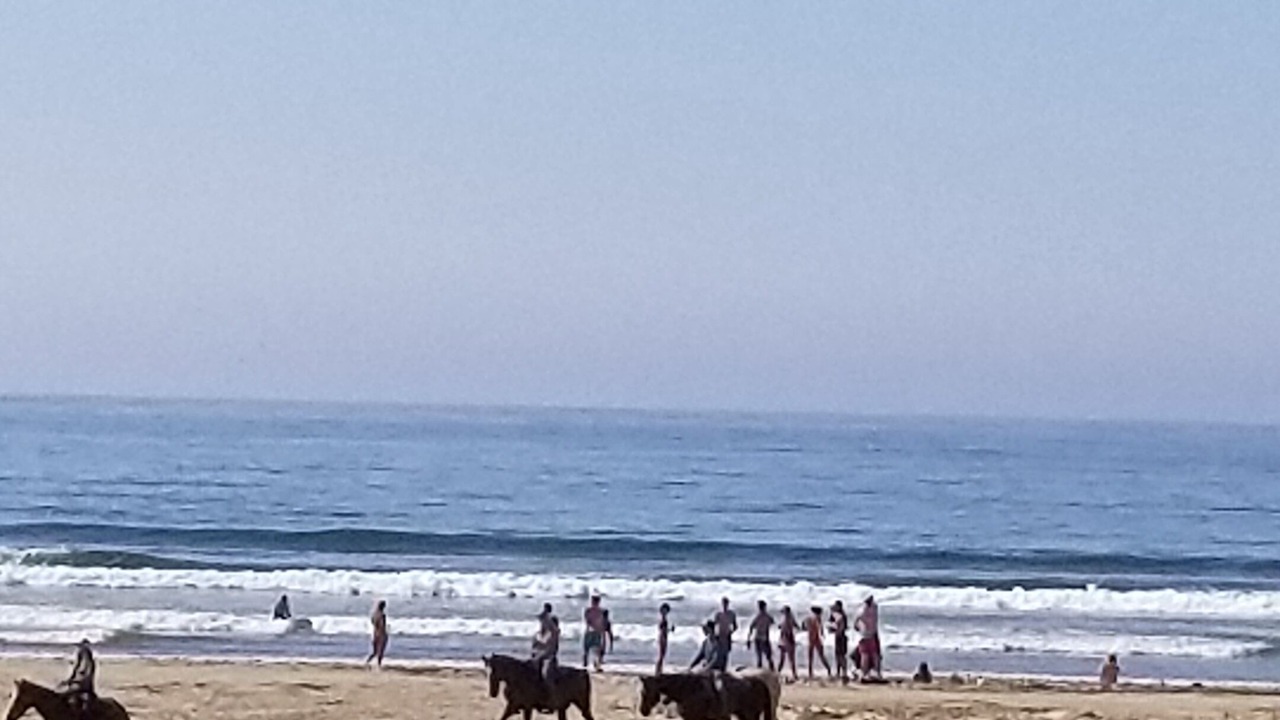 Photo of Others in Oceano
