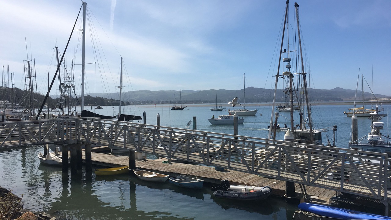 Photo of Others in Morro Bay