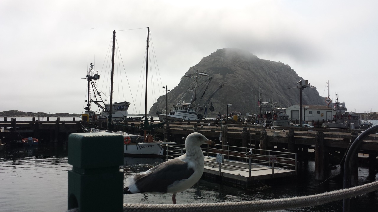 Photo of Others in Morro Bay