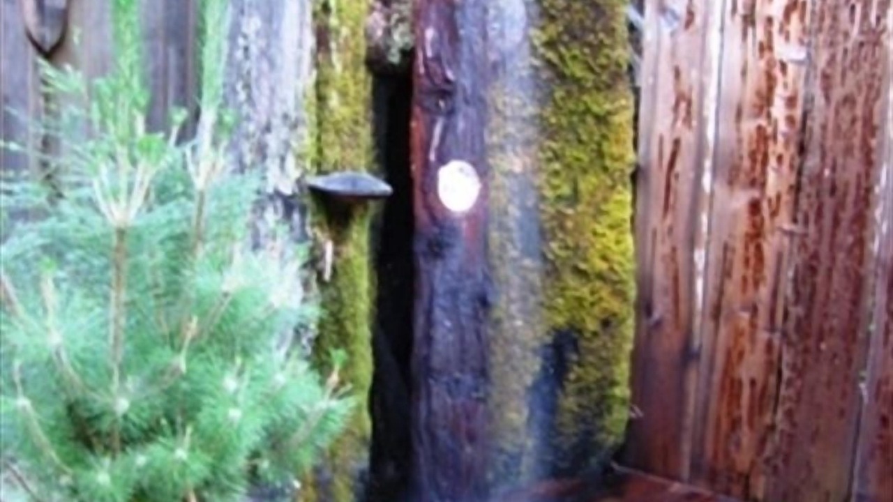 Photo of Outdoor in Cazadero