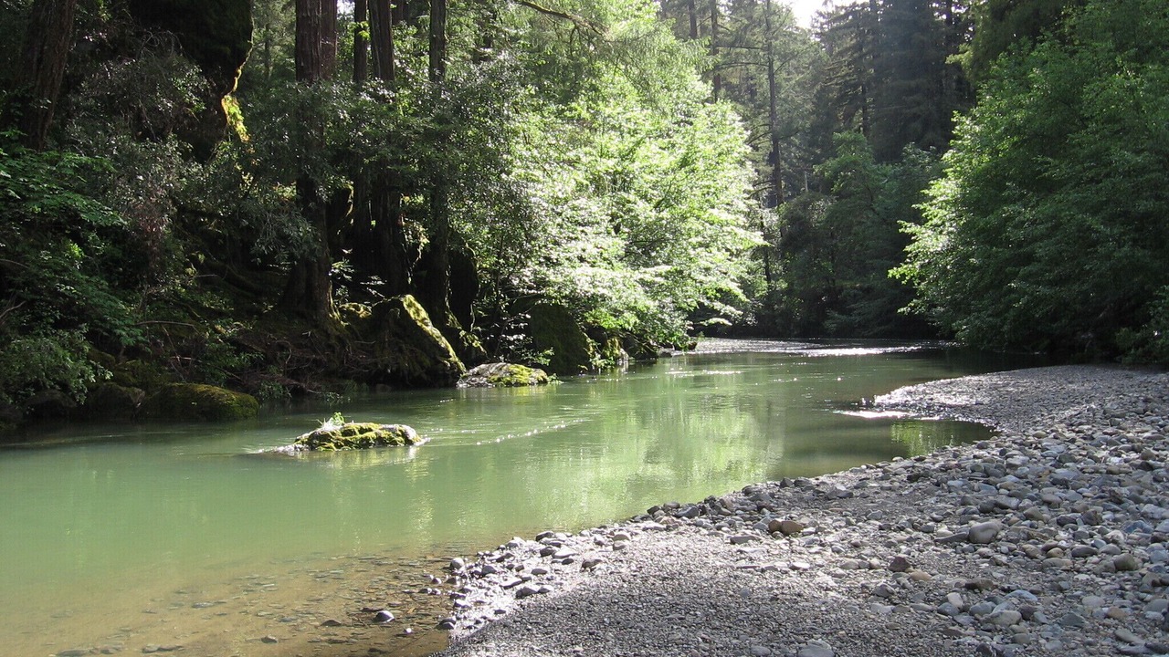 Photo of Others in Cazadero