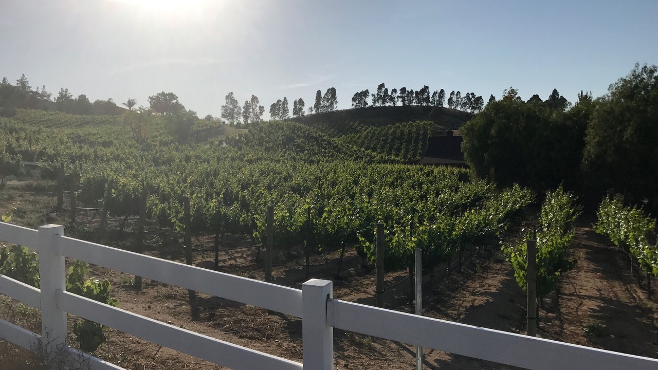 Photo of Others in Temecula
