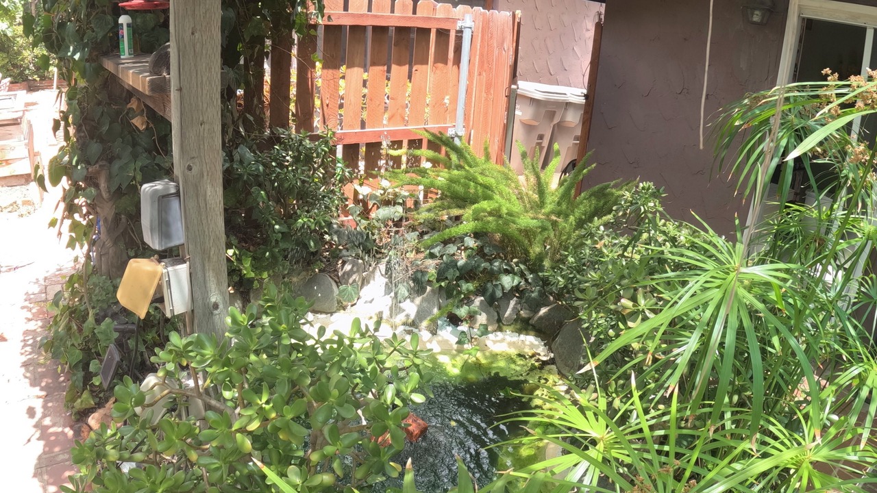 Photo of Outdoor in South Park