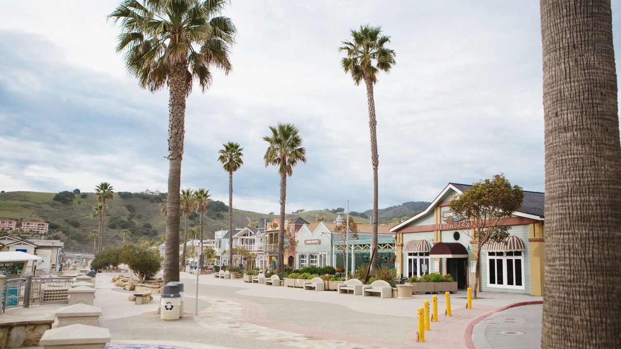 Photo of Others in Avila Beach