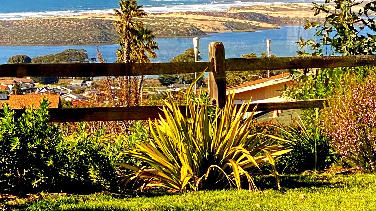 Photo of Others in Baywood-Los Osos