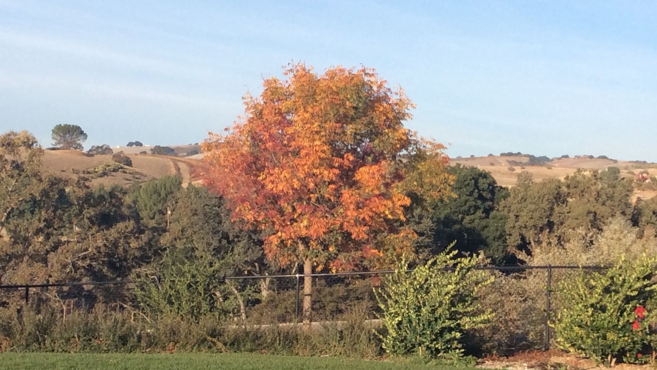 Photo of Outdoor in Paso Robles